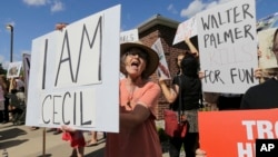 Protestors gather outside Dr. Walter James Palmer's dental office in Bloomington, Minn., Wednesday, July 29, 2015.