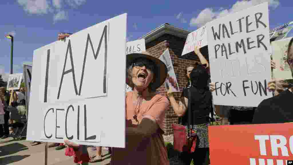 Des manifestants se rassemblent devant le cabinet dentaire du Dr Walter James Palmer à Bloomington, Minnestota., 29 juillet 2015.