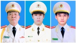 Tin Việt Nam 15/1/2020
