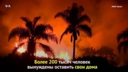 Пожары вокруг Лос-Анджелеса