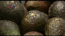 Pemanfaatan Laser untuk Label Buah dan Sayuran