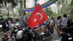 Turkish protesters in Kugulu Park in Ankara, Turkey June 12, 2013