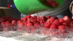 Mexico Exports Fresh Berries to China
