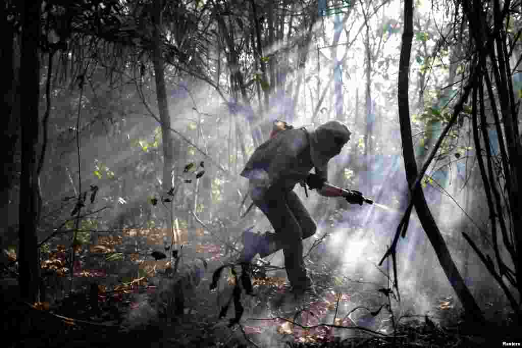 A volunteer works to put out a forest fire in an area of Chapada dos Veadeiros National Park, in Alto Paraiso, Goias, Brazil, Oct. 24, 2017.