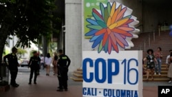 Police stand guard in front of a hotel a day ahead of the COP16 United Nations biodiversity conference, in host city Cali, Colombia, Oct. 19, 2024.