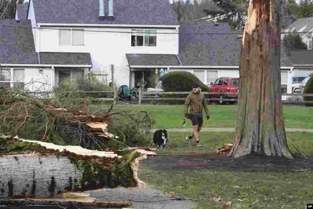 En Lynnwood, Washington, una mujer murió el martes por la noche cuando un gran árbol cayó sobre un campamento de personas sin hogar, indicaron los bomberos del condado South en un comunicado.