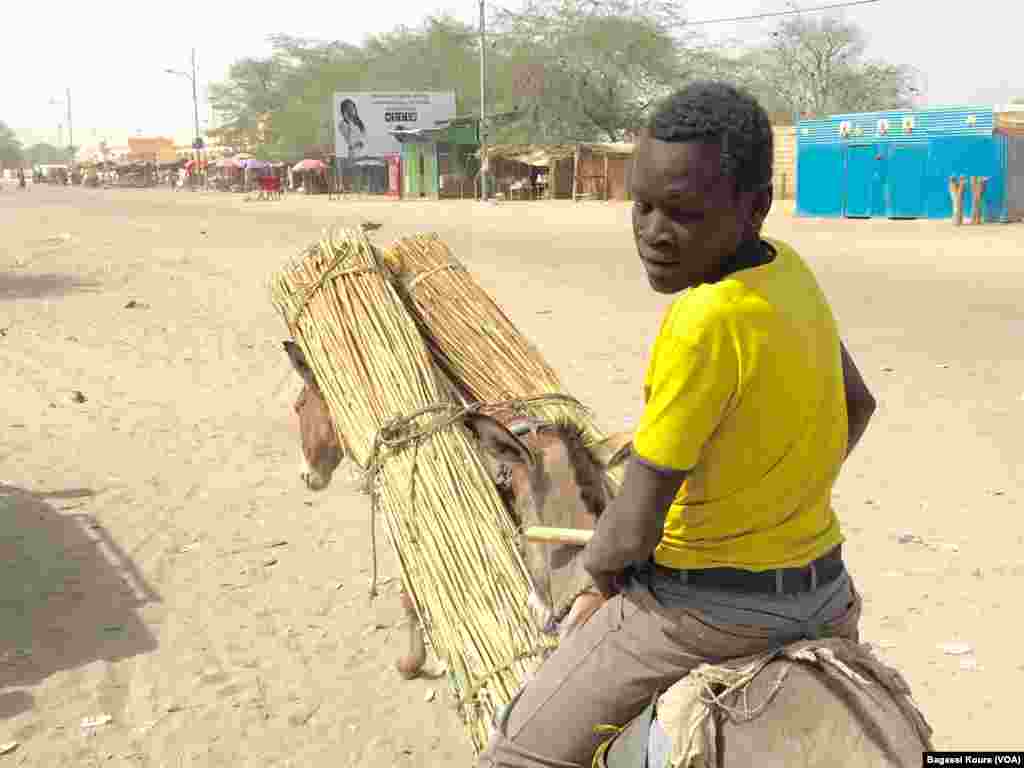 Un adolescent sur un âne, communément utilisé pour le transport dans cette région du Tchad, Photo VOA Bagassi Koura