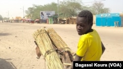 Un adolescent sur un âne, communément utilisé pour le transport dans cette région du Tchad, Photo VOA Bagassi Koura