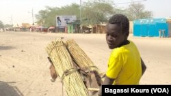 Un adolescent sur un âne, communément utilisé pour le transport dans cette région du Tchad, Photo VOA Bagassi Koura