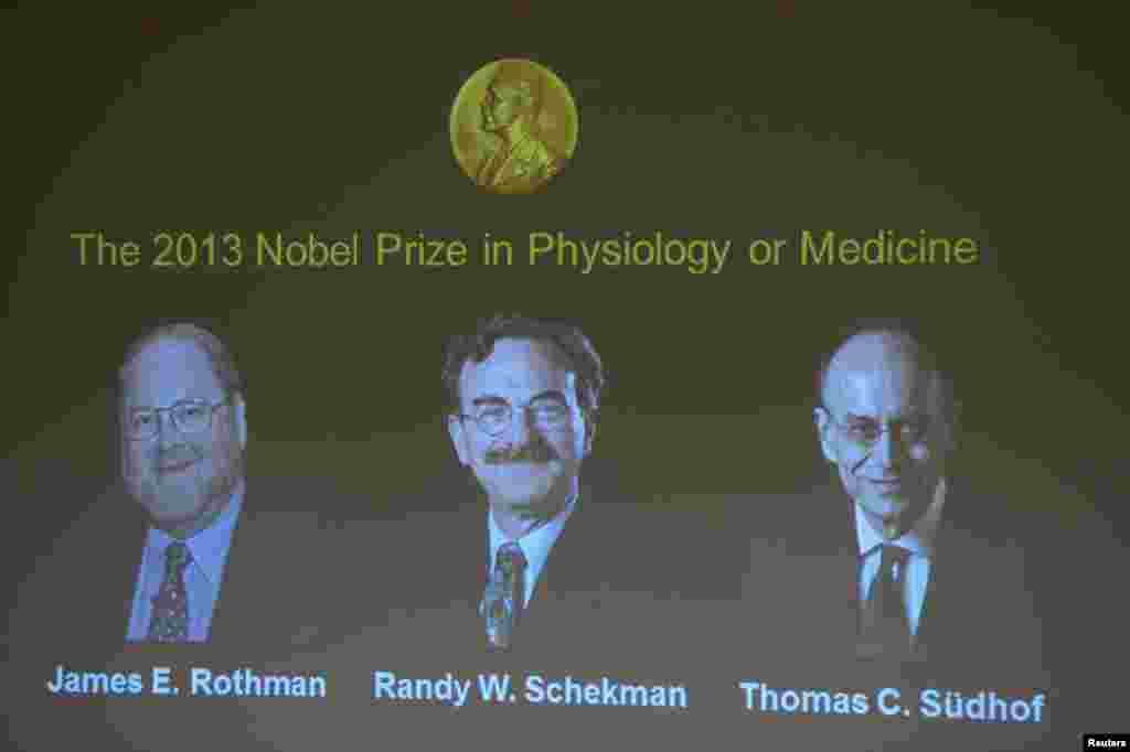طب کے شعبے میں 2013ء کا نوبل انعام دو امریکی اور ایک جرمن سائنسدان کے حصے میں آیا۔ 