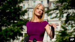 Penasihat Gedung Putih, Kellyanne Conway