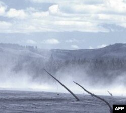 Vulkanska erupcija gotovo je potpuno uništila biljni i životinjski svet u okolini