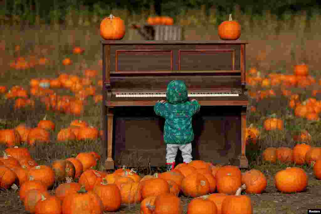 A child plays with a piano as people pick pumpkins at The Pop Up Farm ahead of Halloween, in Flamstead, St Albans, Britain.