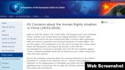 欧盟中国代表团网页（网页截屏）