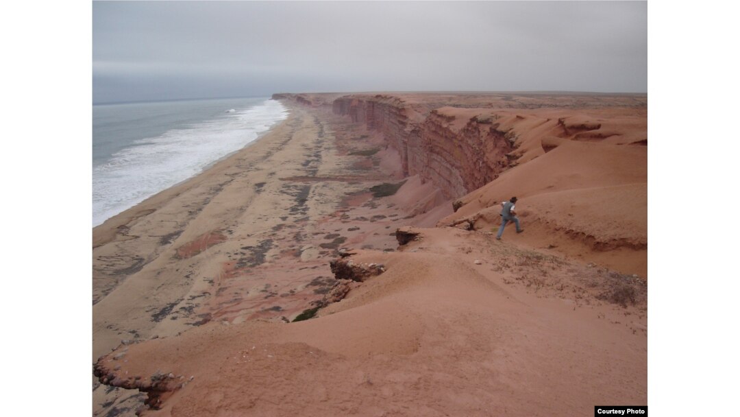 Modern cliffs of coastal Angola where Projecto PaleoAngola paleontologists excavate fossils of life that once lived in Angola’s ancient seas. (Projecto PaleoAngola)