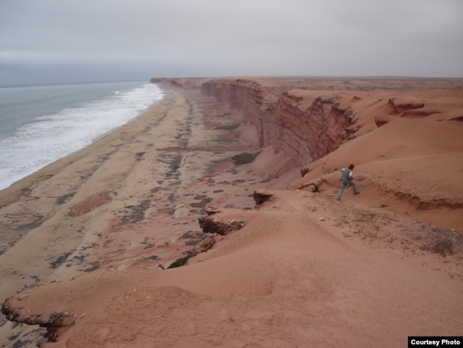 Modern cliffs of coastal Angola where Projecto PaleoAngola paleontologists excavate fossils of life that once lived in Angola’s ancient seas. (Projecto PaleoAngola)