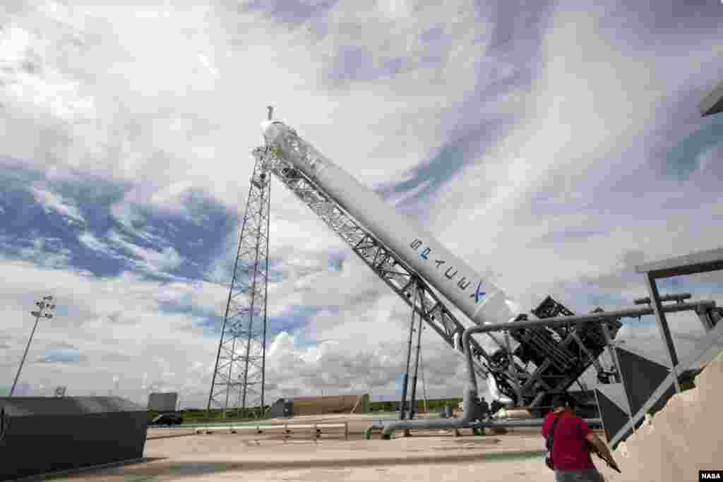 La fus&eacute;e Falcon 9 &agrave; laquelle est attach&eacute;e la capsule Dragon est hiss&eacute;e &agrave; la verticale sur le pas de tir &agrave; Cap Carnaveral (NASA/Jim Grossmann) 