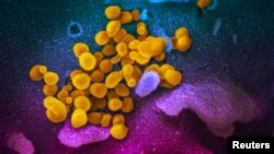 បទសម្ភាសន៍ VOA៖ អ្នក​កើត​ជំងឺ​កូវីដ​១៩​មុន​គេ​ក្នុង​ប្រទេស​កម្ពុជា​ប្រាប់​បទ​ពិសោធន៍​ជា​ការ​ដាស់តឿន