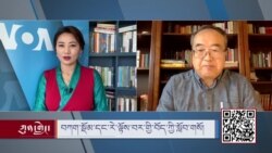 བཀག་སྡོམ་དང་རེ་ལྟོས་བར་གྱི་བོད་ཀྱི་སློབ་གསོ།