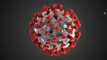 Ilustración proporcionada por los Centros para el Control y la Prevención de Enfermedades, muestra el nuevo coronavirus 2019 (2019-nCoV). Este virus fue identificado como la causa de un brote de enfermedad respiratoria detectado por primera vez en Wuhan, China.