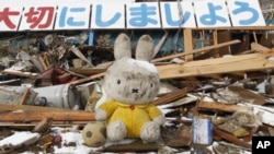 A stuffed toy is seen amidst rubble at an area hit by earthquake and tsunami in Kesennuma, north Japan, March 17, 2011