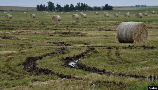 Rollos de heno dañados por la lluvia e inundaciones que no pueden ser movidos por las condiciones lodosas del terreno, se observan en una granja en Alva, Oklahoma, el 24 de mayo de 2019.
