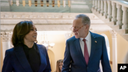 Kamala Harris dhe Chuck Schumer