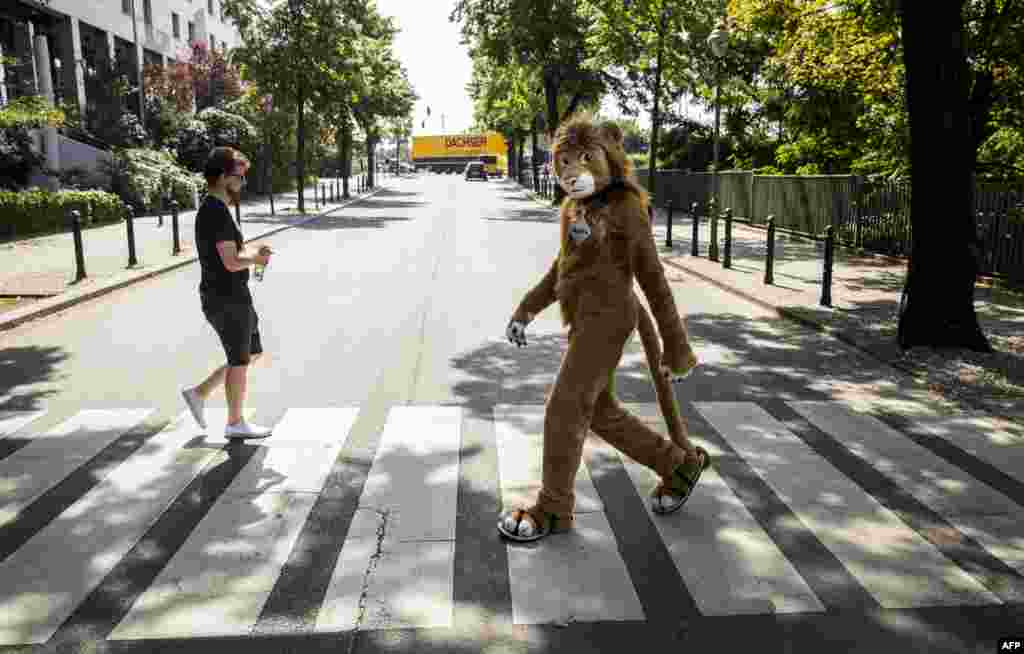 A delegate dressed in a furry Lion costume walks across a Zebra crossing to the convention center at the Eurofurence convention in Berlin, Germany.