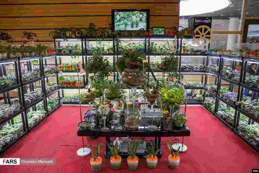 پانزدهمین نمایشگاه بین المللی گل و گیاه در تهران عکس: حسین مرصادی 