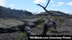 Many unusual formations, such as this Triple Twist Tree, are a common site at Craters of the Moon National Monument and Preserve in south-central Idaho.