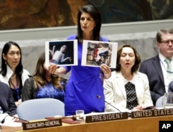니키 헤일리 유엔주재 미국대사가 시리아 화학무기 사태 다음날인 5일 뉴욕 유엔본부에서 긴급소집된 안보리 회의 발언을 통해 희생자들의 사진을 들어보이며 비판하고 있다.