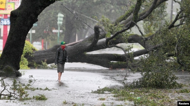 A man stands in front of an uprooted oak tree on Louisiana Avenue as Hurricane Isaac makes land fall in New Orleans, Louisiana, August 29, 2012.