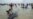 At Least 45 Pilot Whales Die While Beached in Indonesia