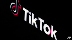 TikTok, Arnavutluk'ta bir yıl süreyle yasaklandı.