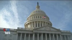 اخبار شامگاهی