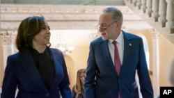 Wapres AS Kamala Harris dan pemimpin mayoritas Senat AS, Senator Chuck Schumer