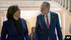 Wapres AS Kamala Harris dan Pemimpin mayoritas Senat AS Chuck Schumer 