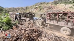 Birîna Darên Herêmên Sînorî û Birina Wan bo Tirkiyê  