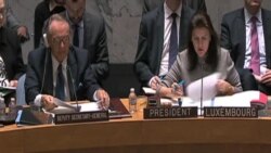 Ucrania presentó su caso ante Consejo de seguridad