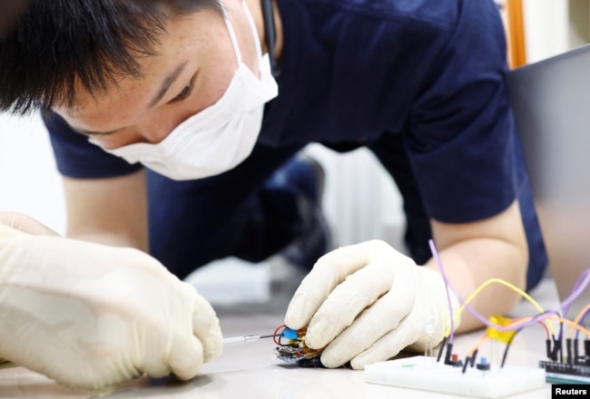 Researcher Yujiro Kakei connects a solar cell to a "backpack" of electronics mounted on a Madagascar hissing cockroach during a photo opportunity at the Thin-Film Device Laboratory of Japanese research institution Riken in Wako, Saitama Prefecture, Japan September 16, 2022. (REUTERS/Kim Kyung-Hoon)