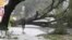 A man stands in front of an uprooted oak tree on Louisiana Avenue as Hurricane Isaac makes land fall in New Orleans, Louisiana, August 29, 2012.