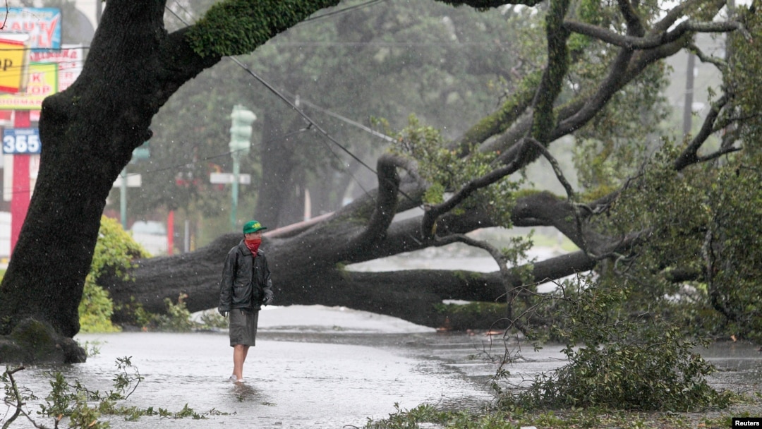 A man stands in front of an uprooted oak tree on Louisiana Avenue as Hurricane Isaac makes land fall in New Orleans, Louisiana, August 29, 2012.