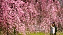 Estados Unidos puede esperar unas agradables vacaciones de primavera después de extremos demasiado lluviosos.