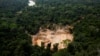 La policía brasileña mata a tiros a cuatro mineros ilegales de oro en una reserva yanomami