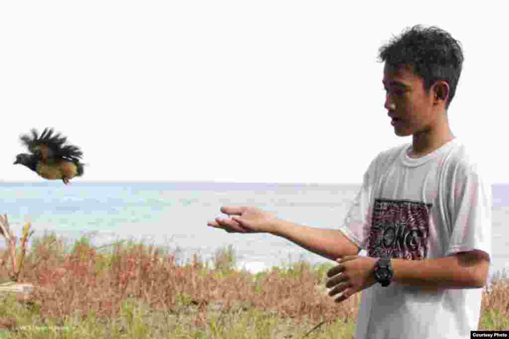 Seorang pelajar sukarelawan di Tanjung Binerean, Sulawesi Utara berpartisipasi dalam pelepasan anak burung maleo. (Iwan Hunowu/Wildlife Conservation Society)