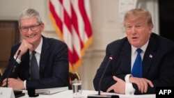 FILE - U.S. President Donald Trump speaks alongside Apple CEO Tim Cook in the State Dining Room of the White House in Washington, March 6, 2019. 