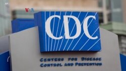CDC Kurangi Masa Isolasi, Diaspora Indonesia Percaya Diri Hadapi Omicron
