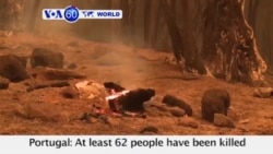 [60초로 보는 세계] 2017. 6. 19