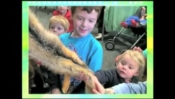 ژیانی ژیرانه‌ - 9