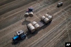 Sebuah traktor mengumpulkan jerami di ladang di sebuah peternakan pribadi di Zhurivka, wilayah Kyiv, Ukraina, Kamis, 10 Agustus 2023. (Foto: AP)
